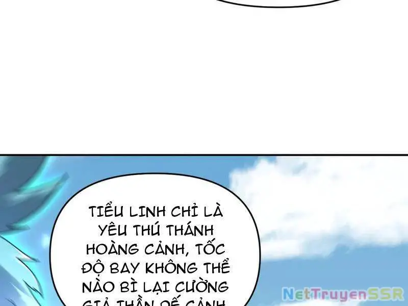 Bắt Đầu Chấn Kinh Nữ Đế Lão Bà, Ta Vô Địch! Nettruyen ZZZ Chương 19 Page 43