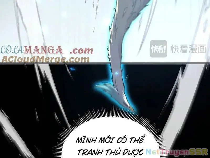 Bắt Đầu Chấn Kinh Nữ Đế Lão Bà, Ta Vô Địch! Nettruyen ZZZ Chương 19 Page 74
