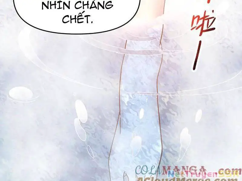 Bắt Đầu Chấn Kinh Nữ Đế Lão Bà, Ta Vô Địch! Nettruyen ZZZ Chương 21 Page 29