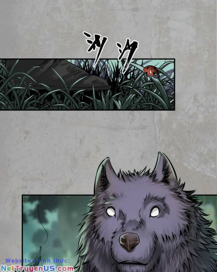 Tạng Phong Hành Nettruyen ZZZ Chương 195 Page 27