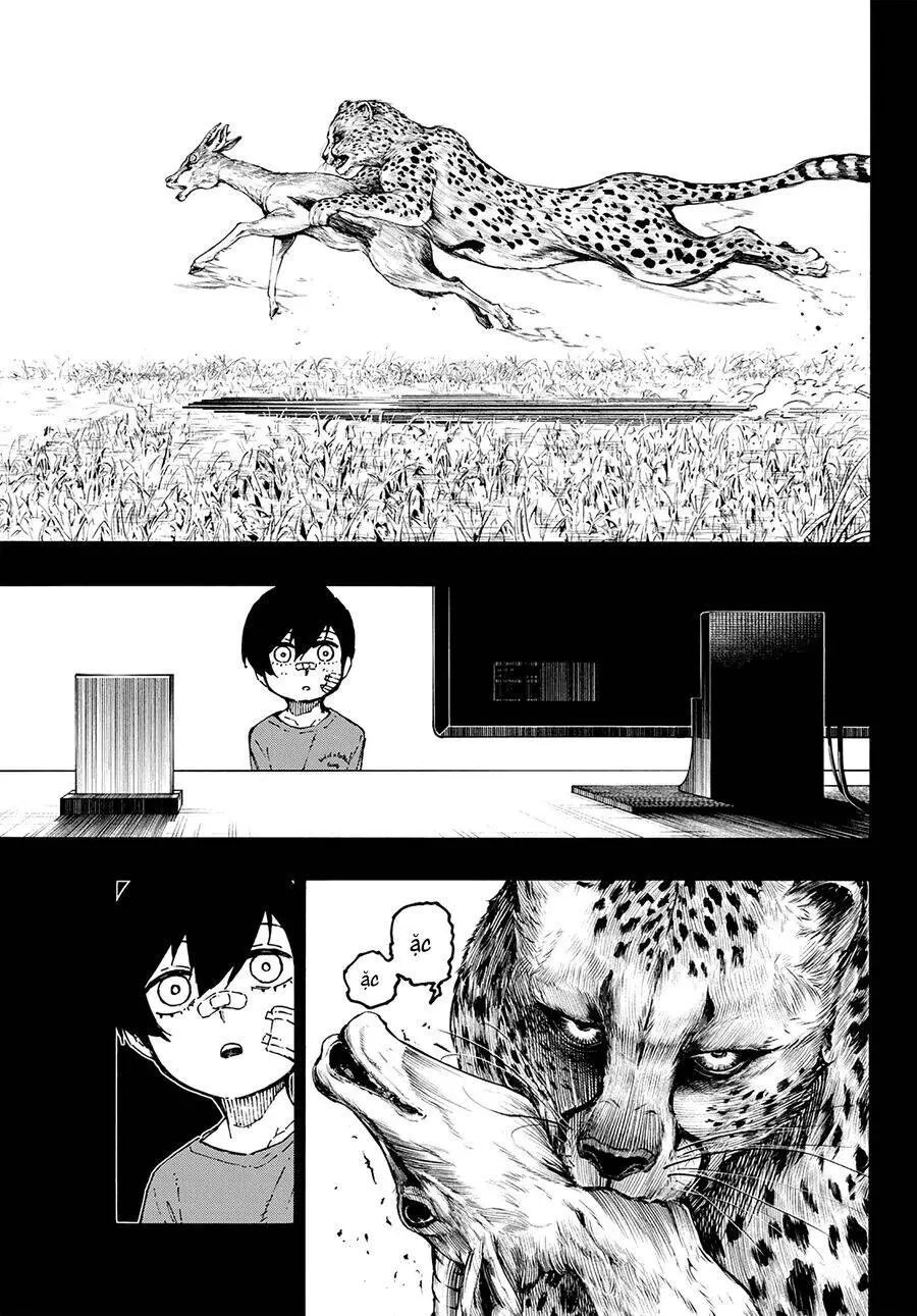 Blue Lock Nettruyen ZZZ Chương 271 Page 10