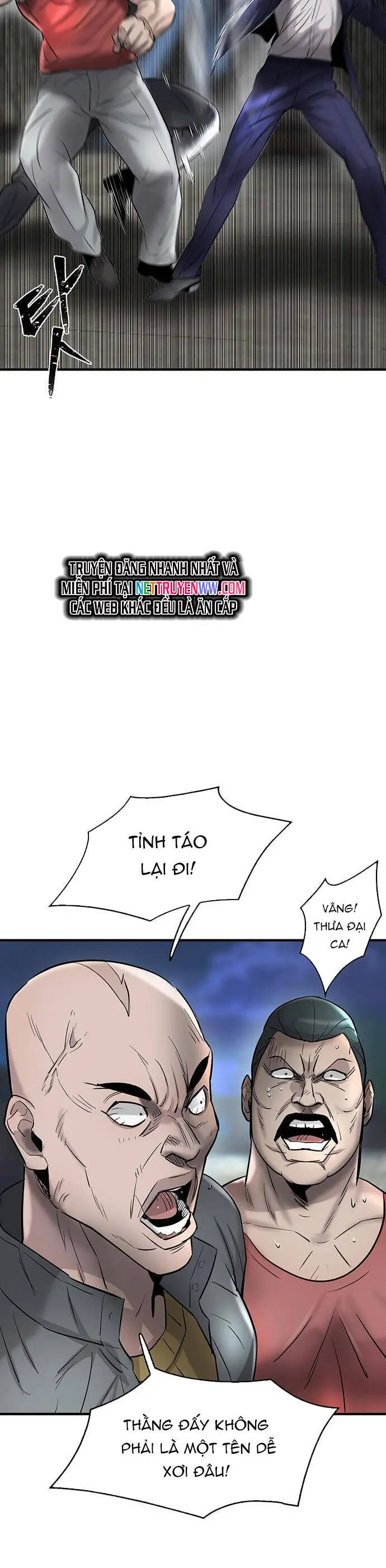 Bù Nhìn Nettruyen ZZZ Chương 37 Page 45