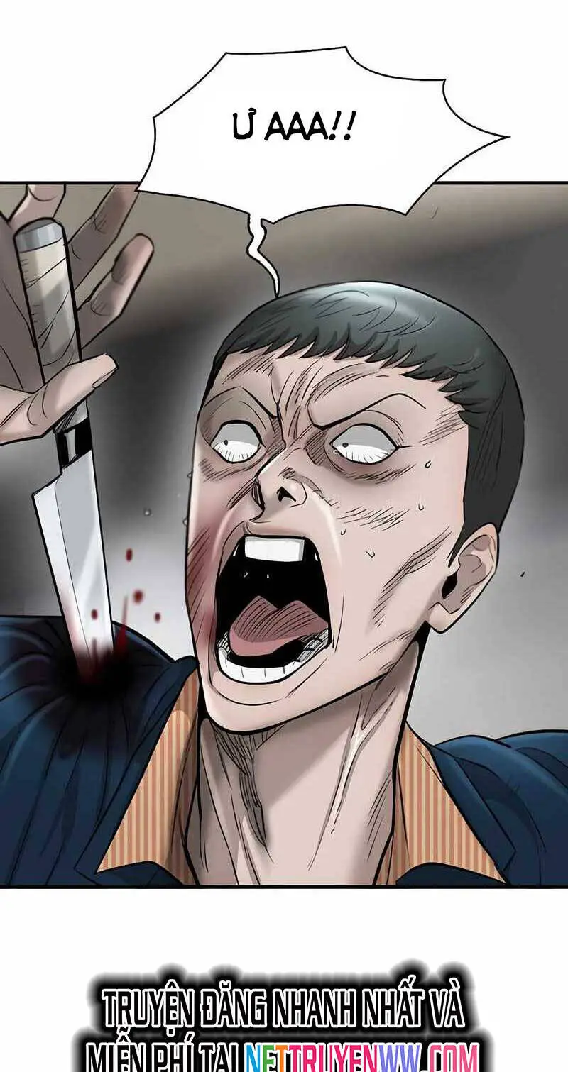 Bù Nhìn Nettruyen ZZZ Chương 33 Page 47