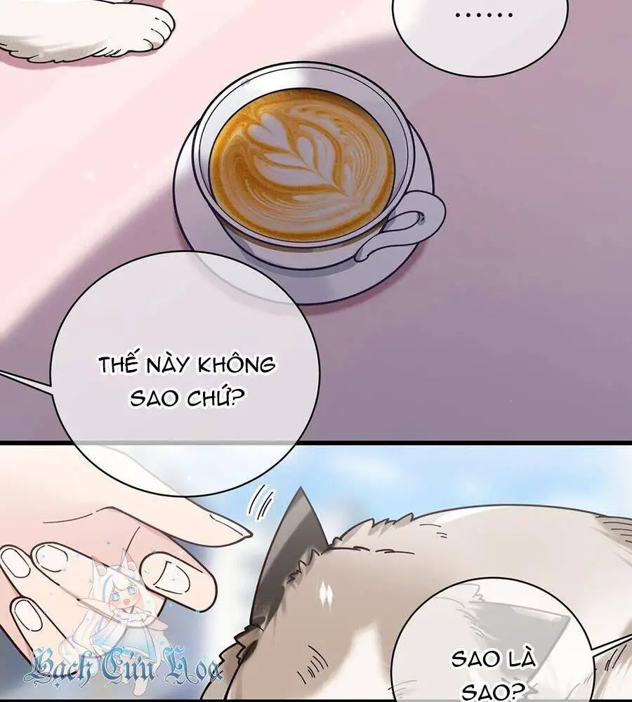 Làm Sao Để Chạy Trốn Dàn Hậu Cung Nettruyen ZZZ Chương 124 Page 8