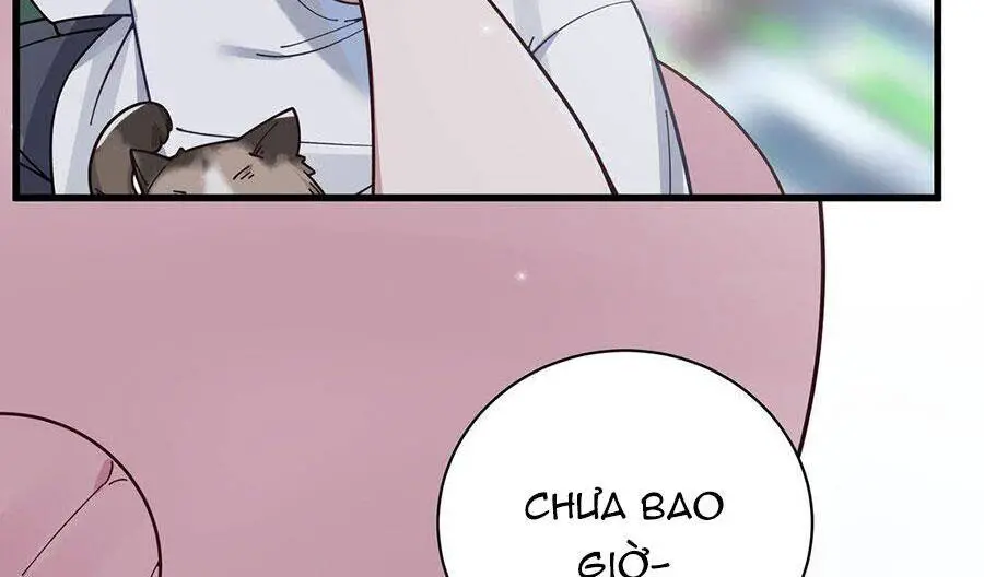 Làm Sao Để Chạy Trốn Dàn Hậu Cung Nettruyen ZZZ Chương 124 Page 39
