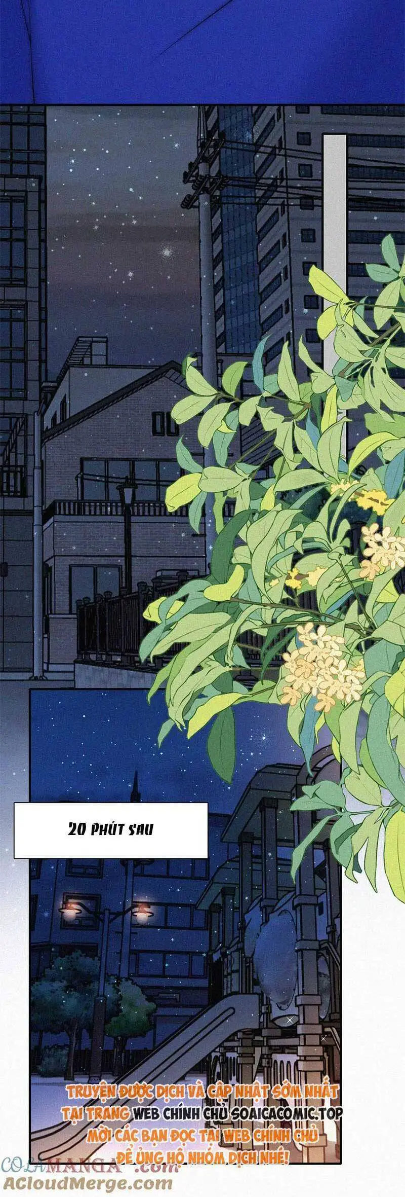 Bá Vương Sủng Ái Cô Vợ Mù Nettruyen ZZZ Chương 91 Page 6