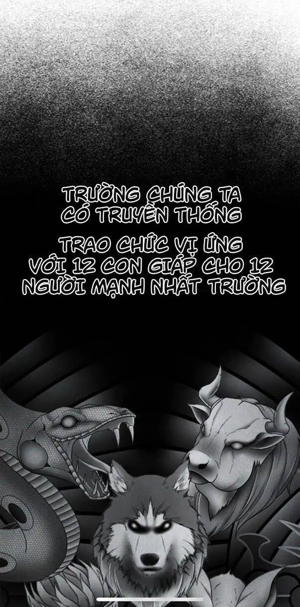 Bố Vạn Năng Nettruyen ZZZ Chương 5 Page 20