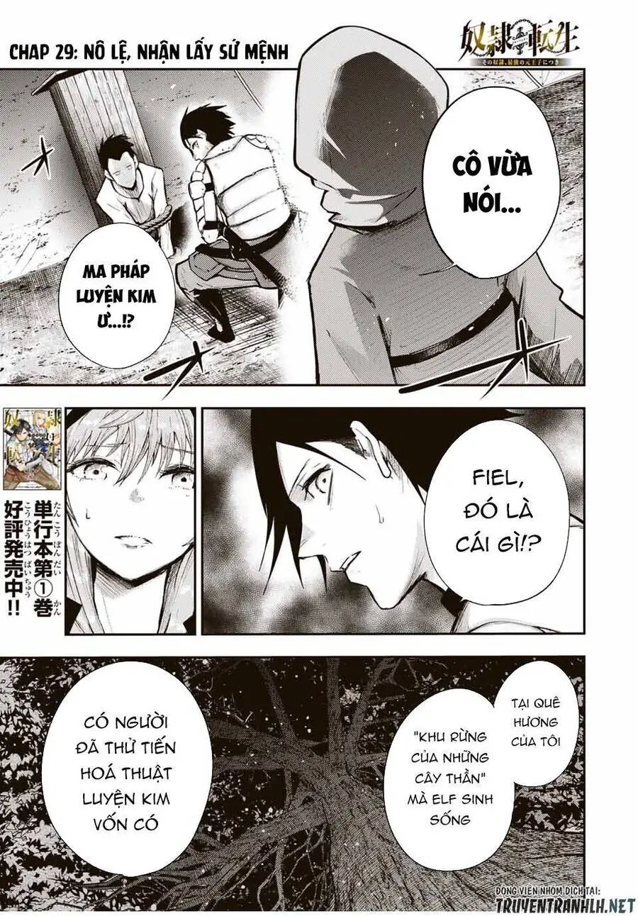 Dorei Tensei: Sono Dorei, Saikyou No Moto Ouji Ni Tsuki Nettruyen ZZZ Chương 29 Page 3