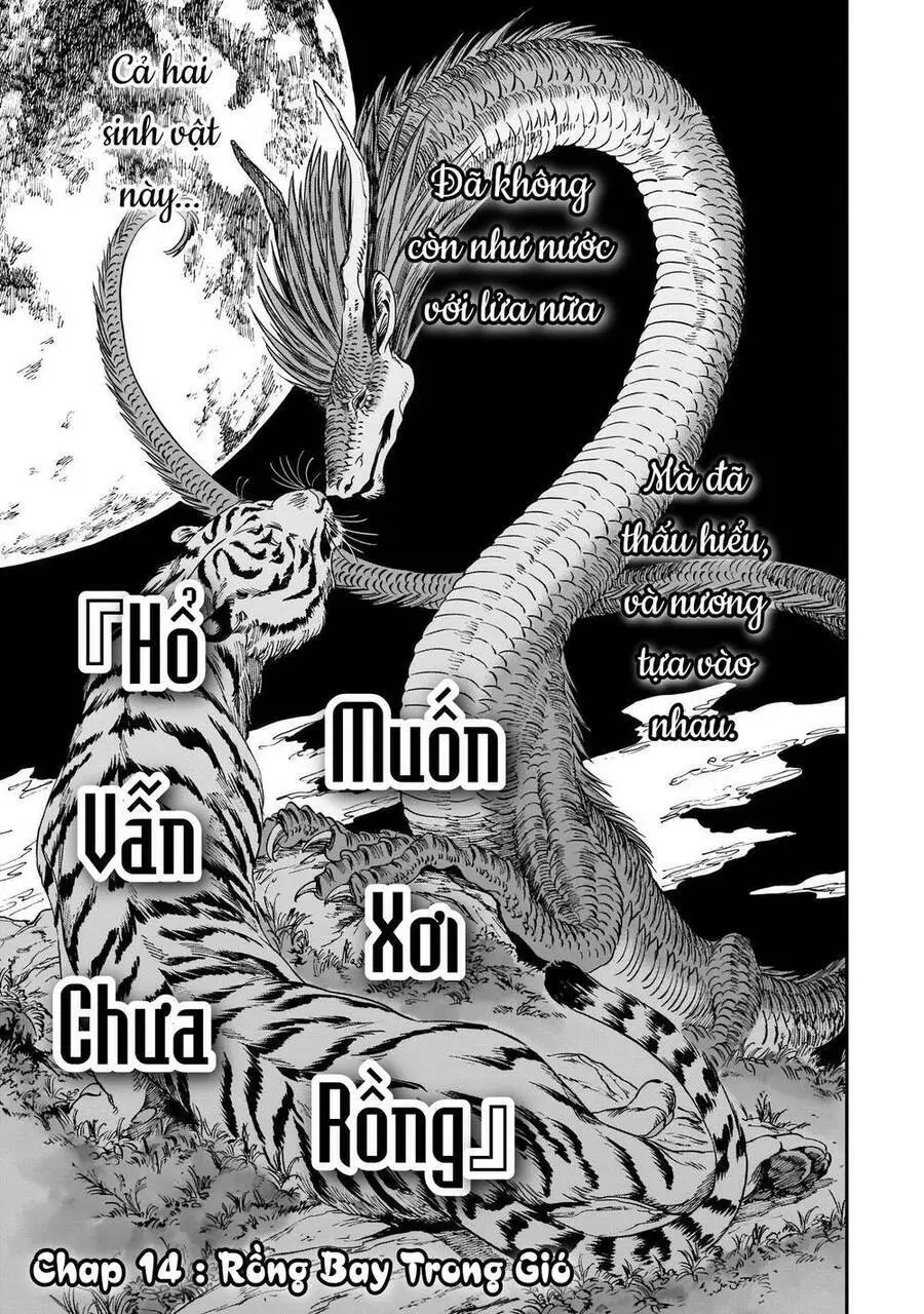 Hổ Vẫn Chưa Muốn Xơi Rồng Nettruyen ZZZ Chương 14 Page 5