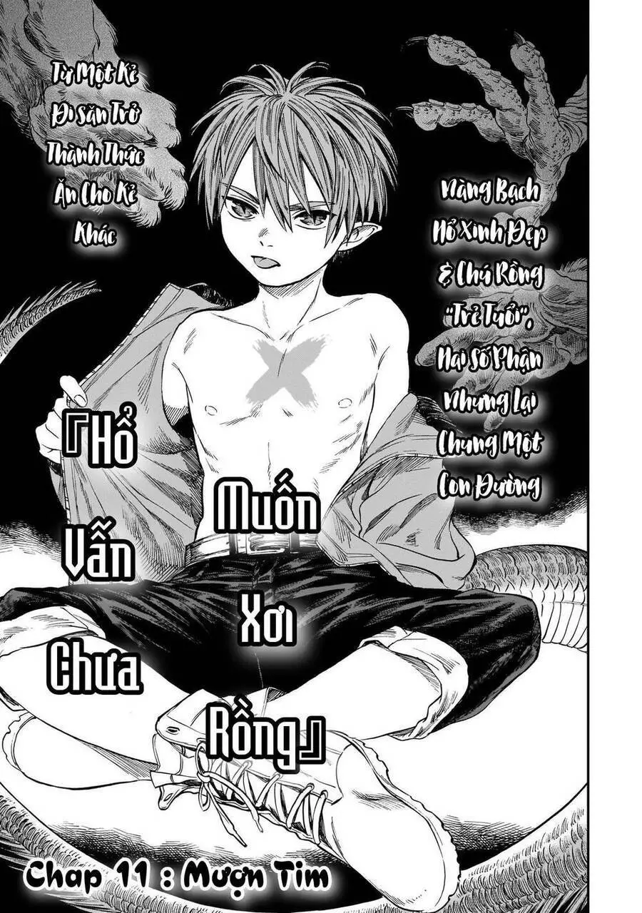 Hổ Vẫn Chưa Muốn Xơi Rồng Nettruyen ZZZ Chương 11 Page 4