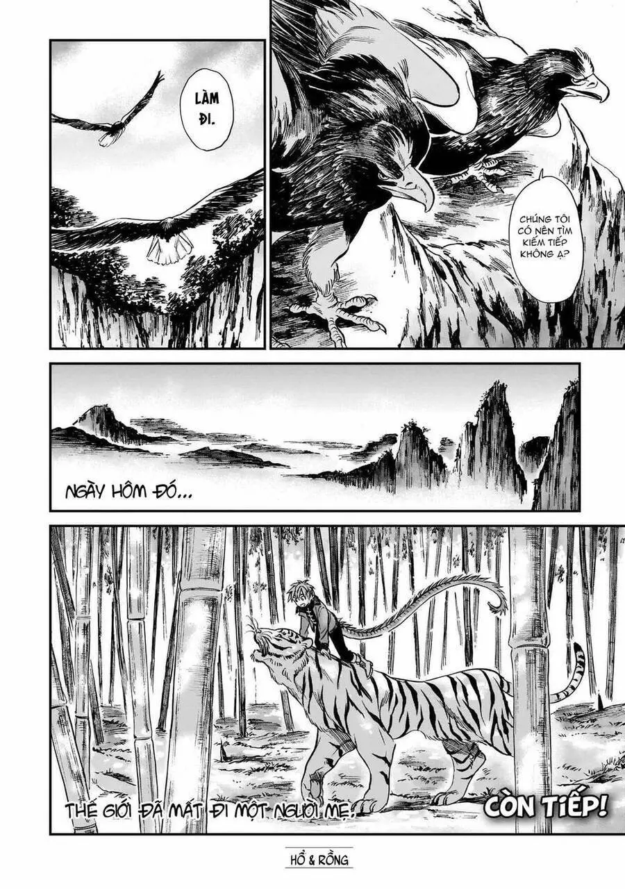 Hổ Vẫn Chưa Muốn Xơi Rồng Nettruyen ZZZ Chương 8 Page 19