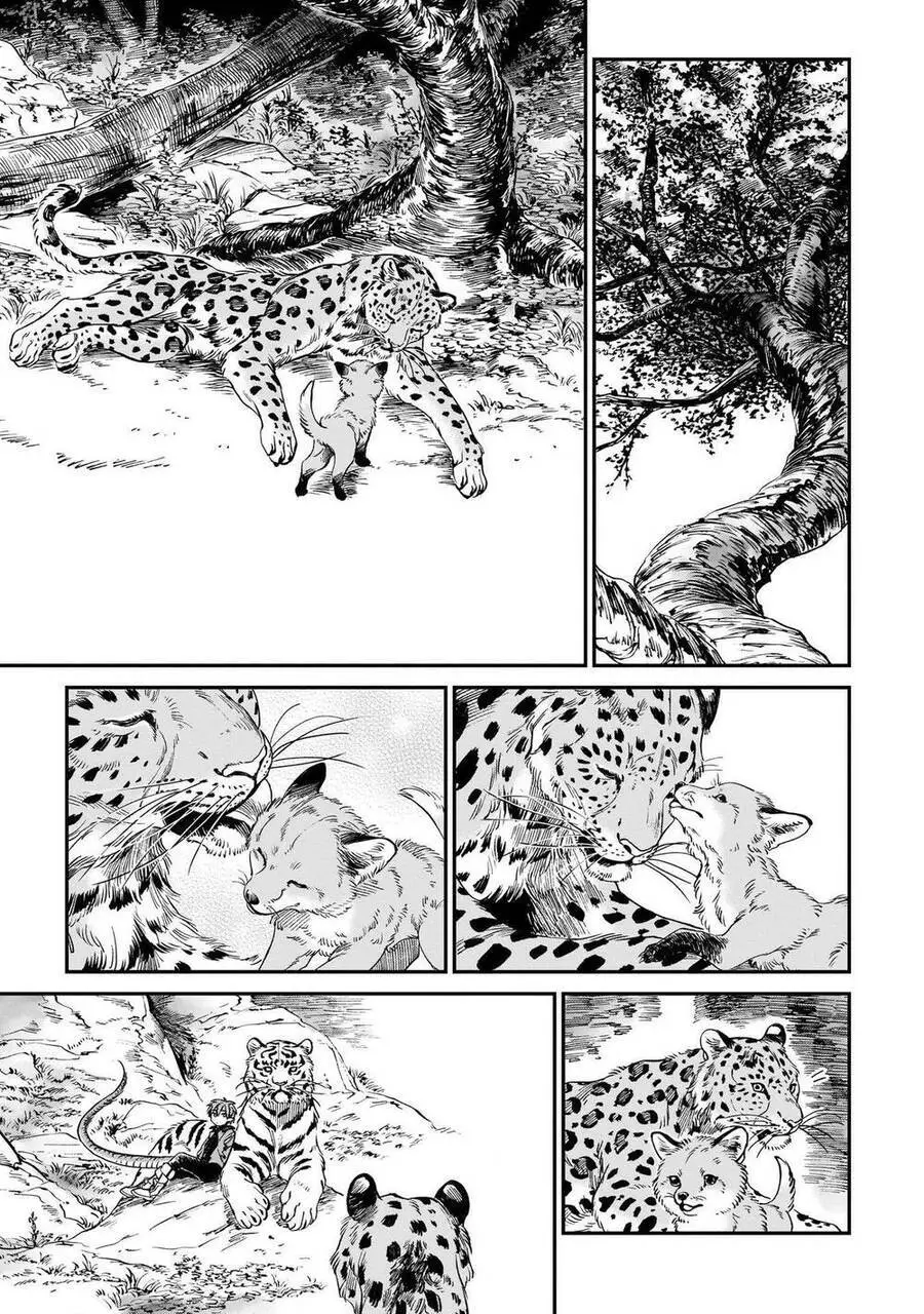 Hổ Vẫn Chưa Muốn Xơi Rồng Nettruyen ZZZ Chương 9 Page 14