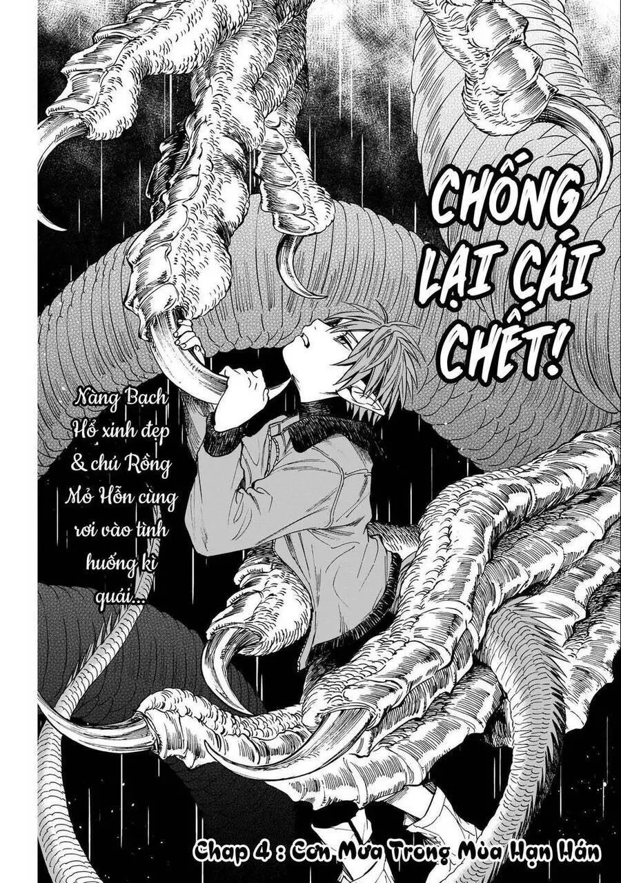 Hổ Vẫn Chưa Muốn Xơi Rồng Nettruyen ZZZ Chương 4 Page 3
