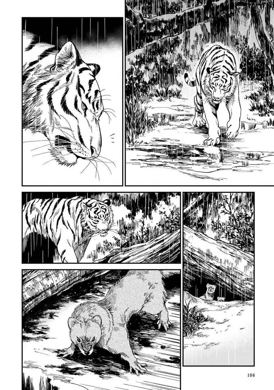 Hổ Vẫn Chưa Muốn Xơi Rồng Nettruyen ZZZ Chương 4 Page 16