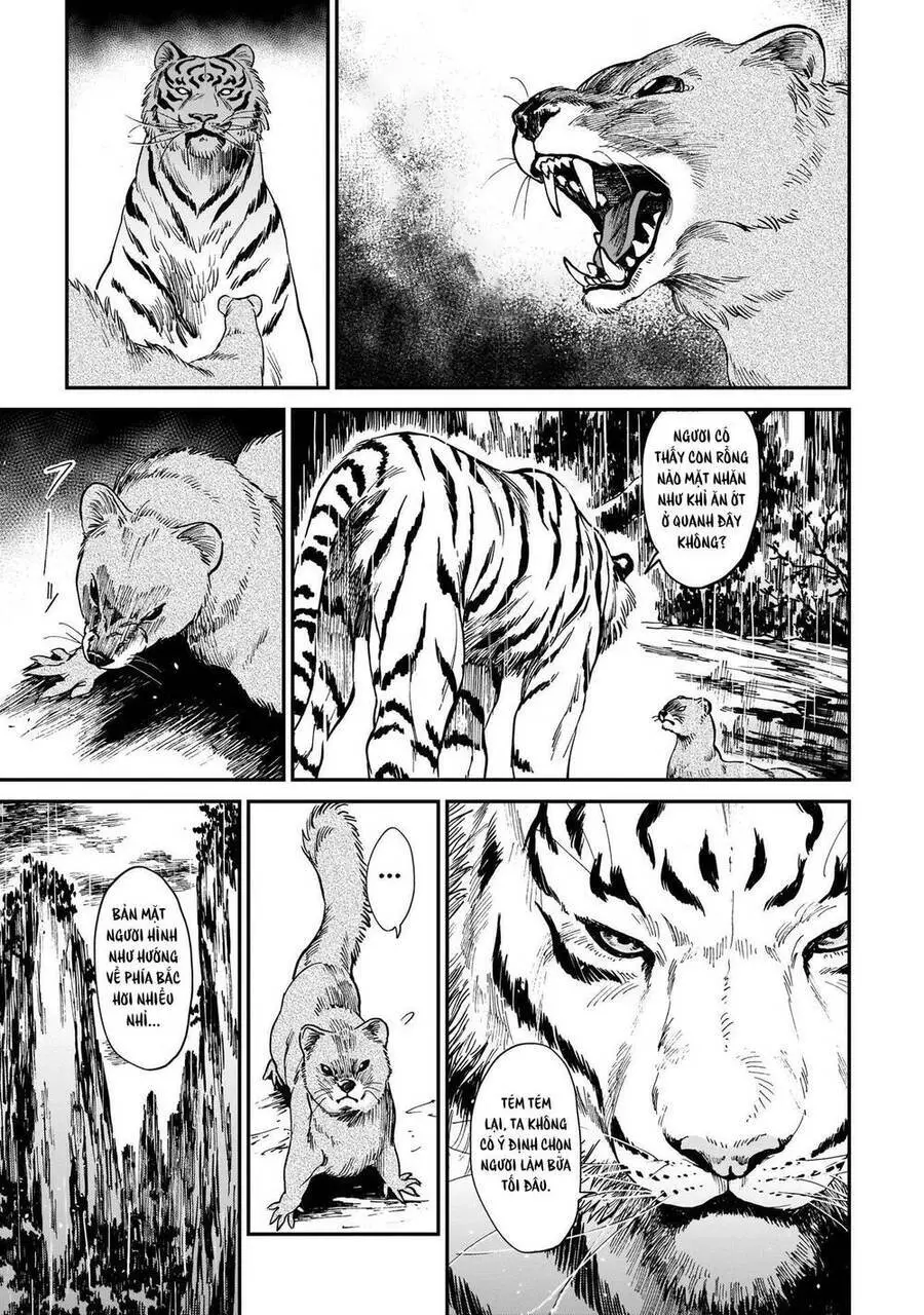 Hổ Vẫn Chưa Muốn Xơi Rồng Nettruyen ZZZ Chương 4 Page 17