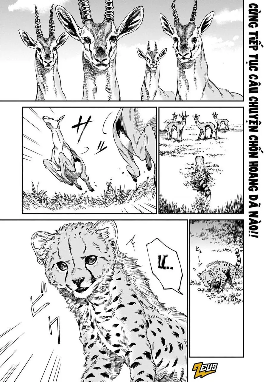 Hổ Vẫn Chưa Muốn Xơi Rồng Nettruyen ZZZ Chuong 19 Page 4