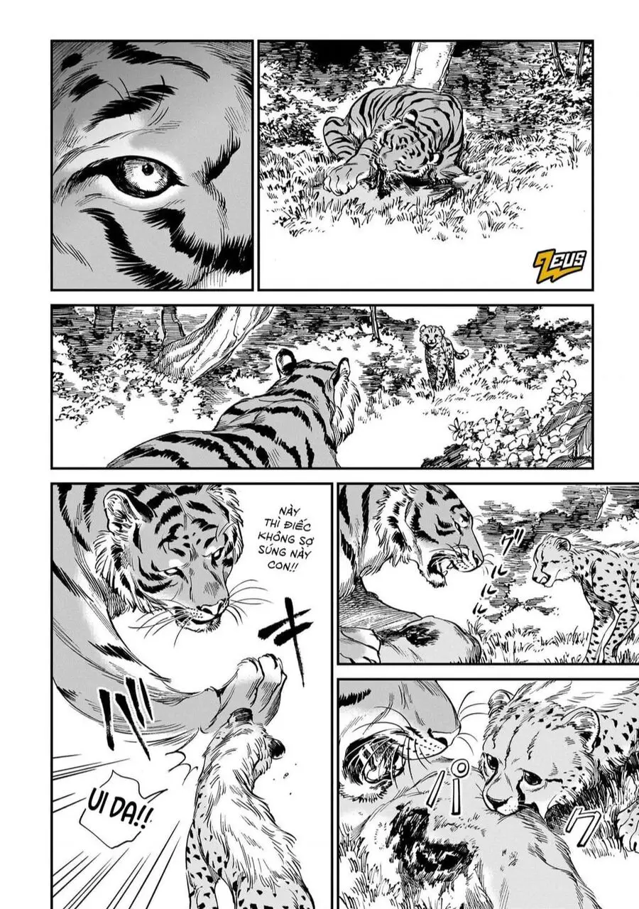 Hổ Vẫn Chưa Muốn Xơi Rồng Nettruyen ZZZ Chuong 19 Page 7