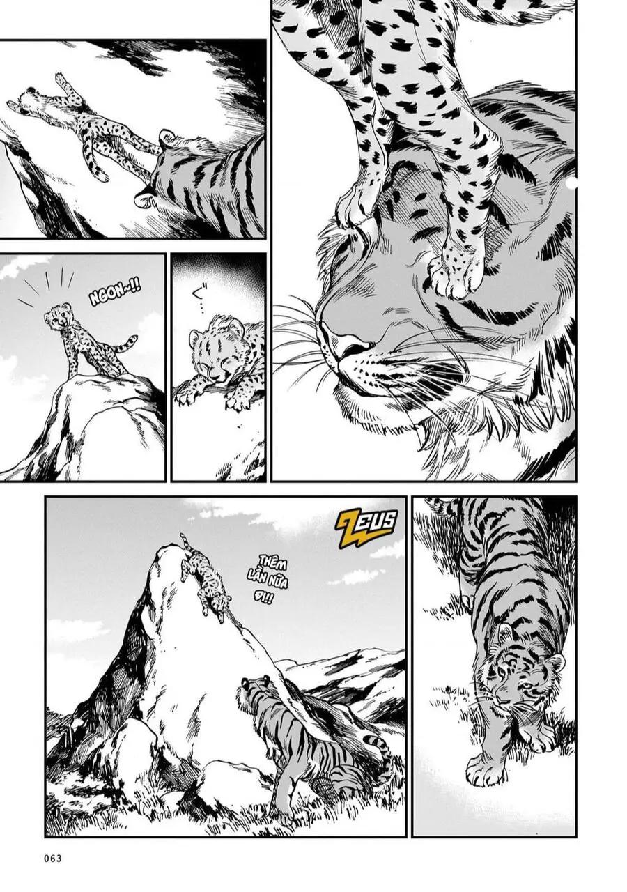 Hổ Vẫn Chưa Muốn Xơi Rồng Nettruyen ZZZ Chuong 19 Page 14