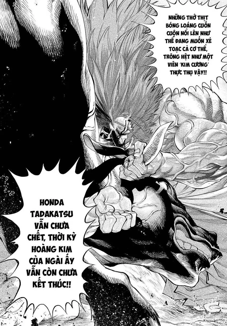 Tenkaichi - Thiên Hạ Đệ Nhất Võ Sĩ Đại Hội Nettruyen ZZZ Chương 1 Page 38