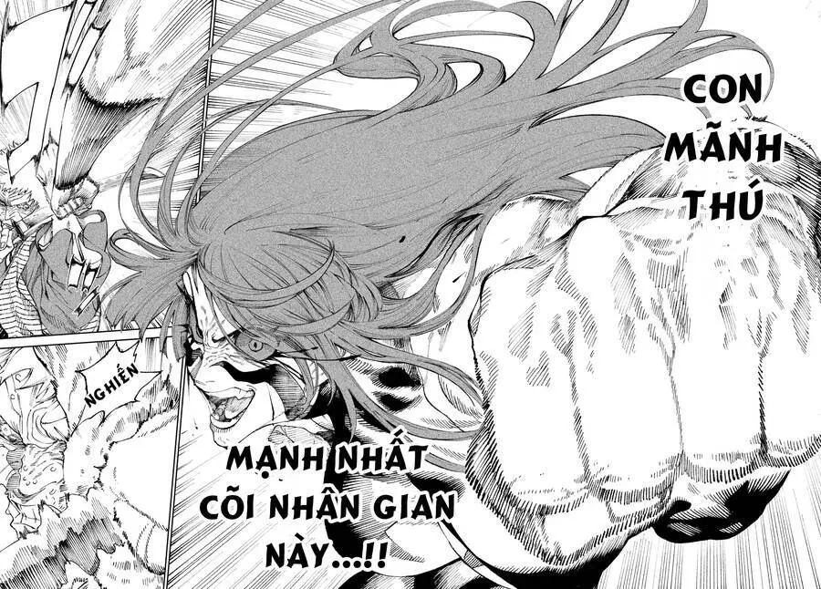 Tenkaichi - Thiên Hạ Đệ Nhất Võ Sĩ Đại Hội Nettruyen ZZZ Chương 11 Page 13