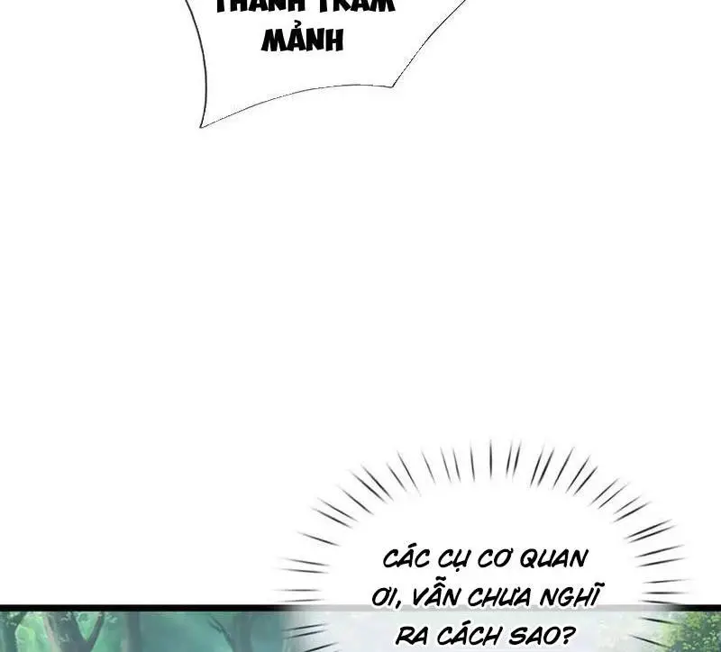Khí Quan Thức Tỉnh, Ta Đột Nhiên Vô Địch! Nettruyen ZZZ Chương 56 Page 17