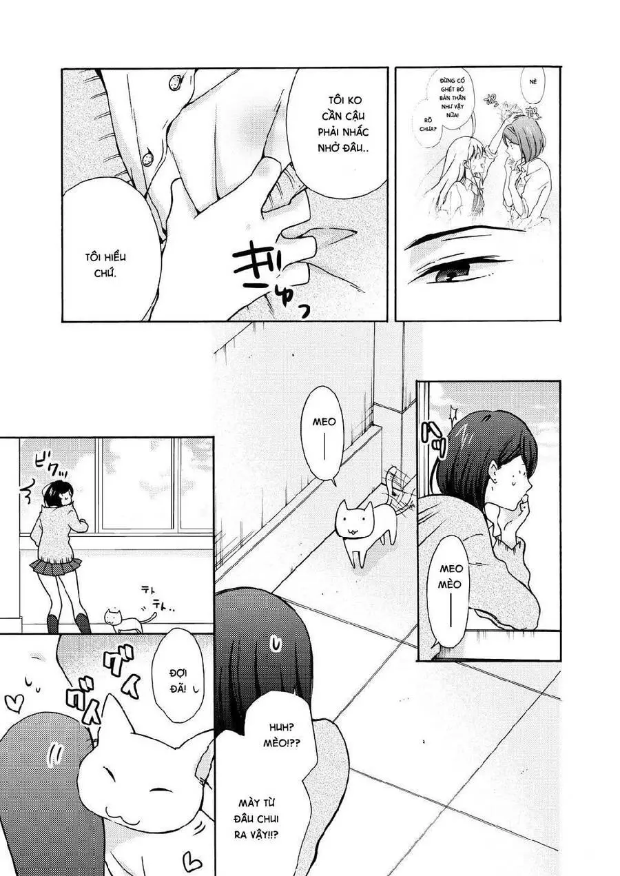 Nyotaika Yankee Gakuen Nettruyen ZZZ Chương 10 Page 15