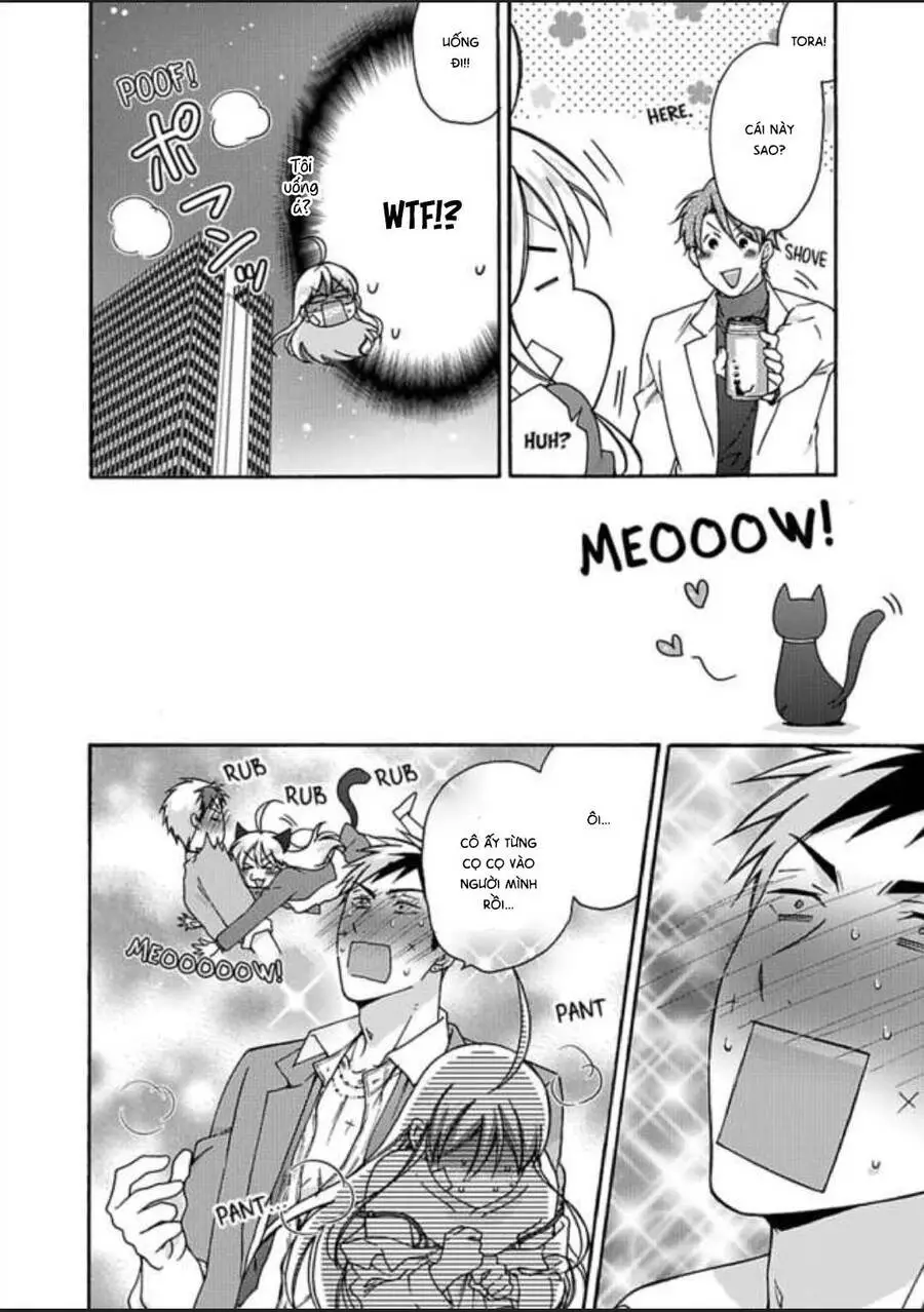 Nyotaika Yankee Gakuen Nettruyen ZZZ Chương 25 Page 6