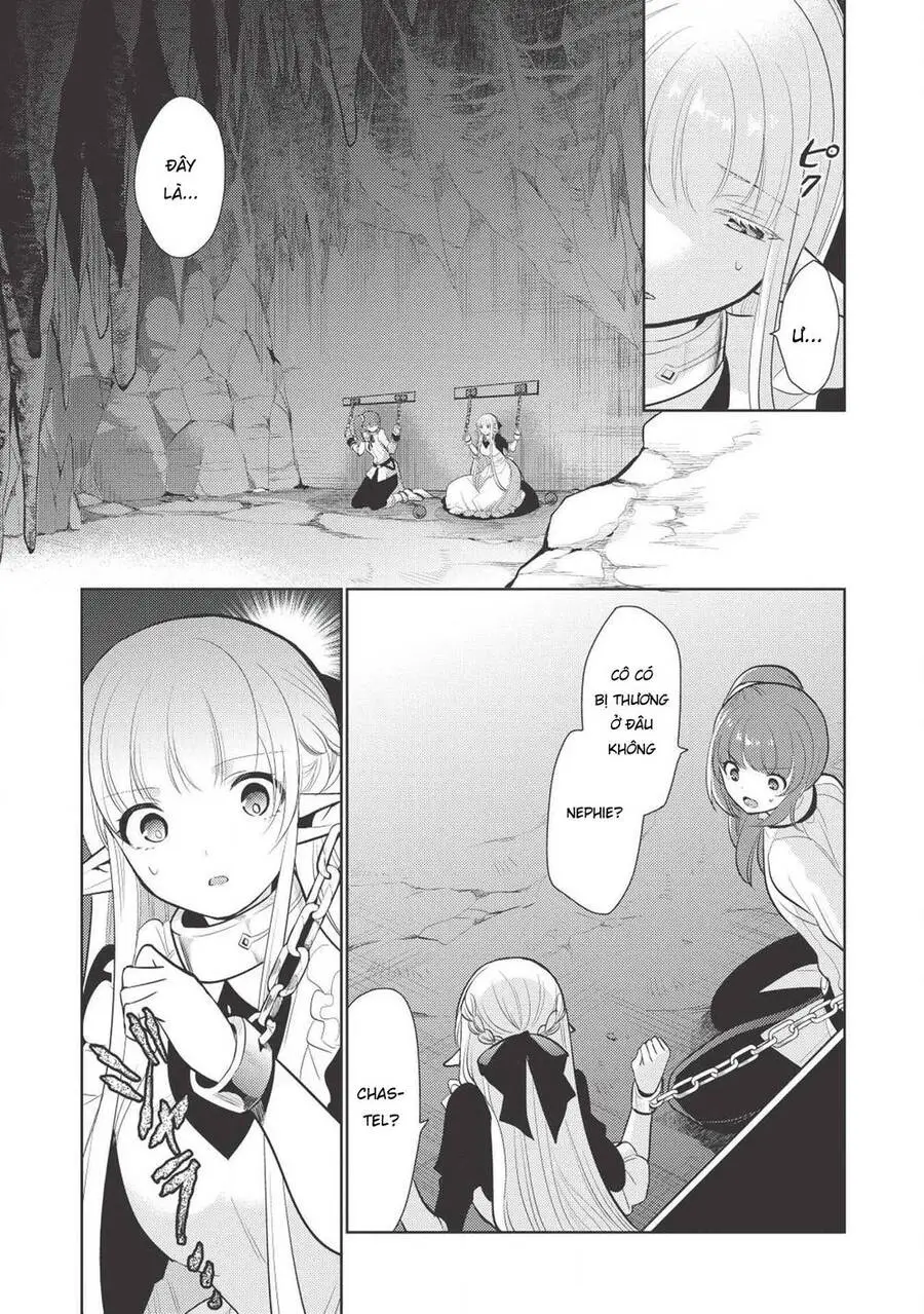 Maou No Ore Ga Dorei Elf Wo Yome Ni Shitanda Ga, Dou Medereba Ii? Nettruyen ZZZ Chương 11 Page 19