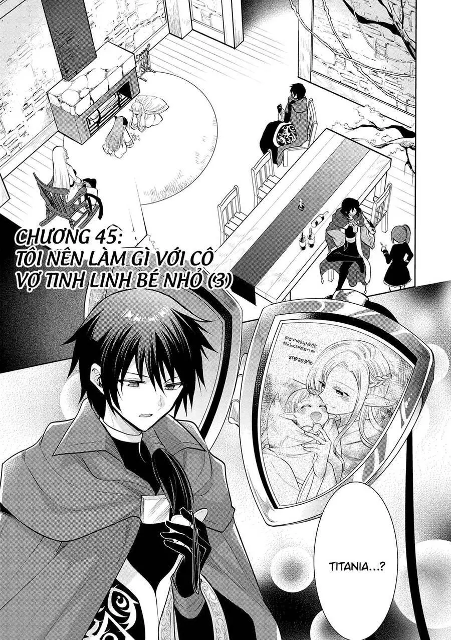 Maou No Ore Ga Dorei Elf Wo Yome Ni Shitanda Ga, Dou Medereba Ii? Nettruyen ZZZ Chương 45 Page 2