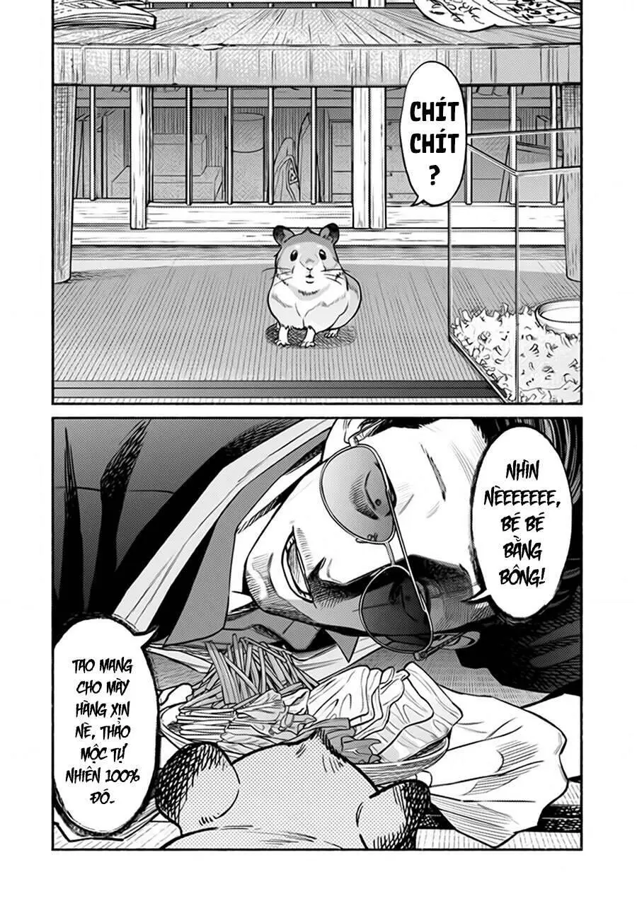 Ông Chồng Yakuza Nội Trợ Nettruyen ZZZ Chương 67 Page 3