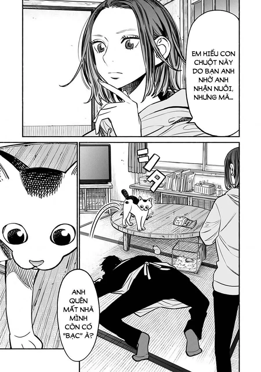 Ông Chồng Yakuza Nội Trợ Nettruyen ZZZ Chương 67 Page 4