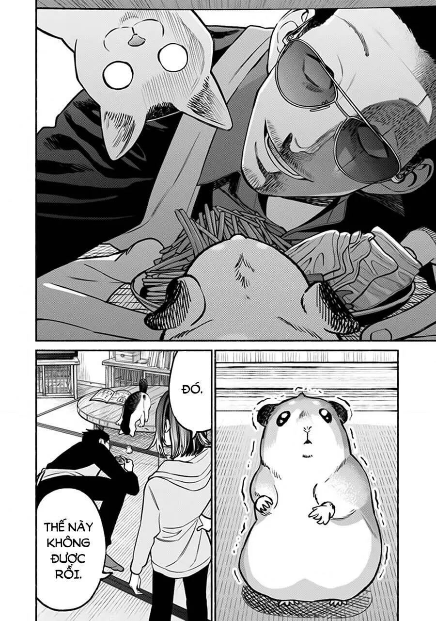Ông Chồng Yakuza Nội Trợ Nettruyen ZZZ Chương 67 Page 5