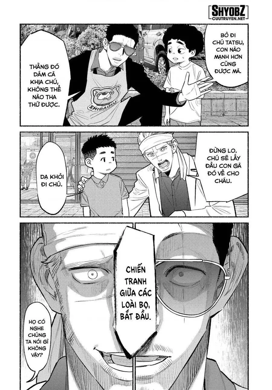 Ông Chồng Yakuza Nội Trợ Nettruyen ZZZ Chương 79 Page 5