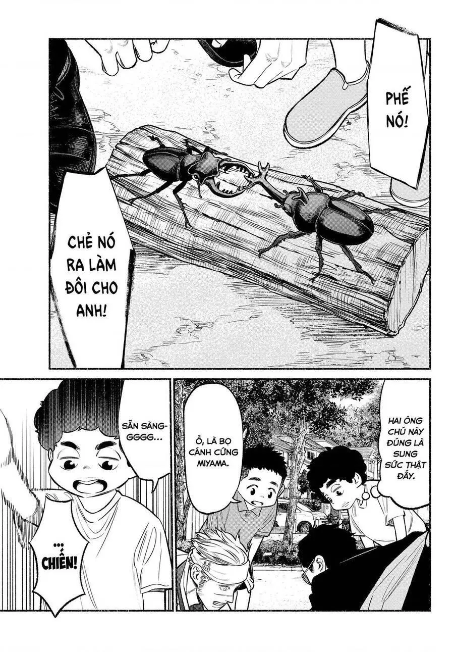 Ông Chồng Yakuza Nội Trợ Nettruyen ZZZ Chương 79 Page 10