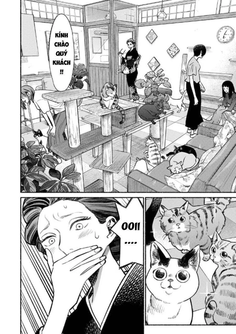 Ông Chồng Yakuza Nội Trợ Nettruyen ZZZ Chương 55 Page 4