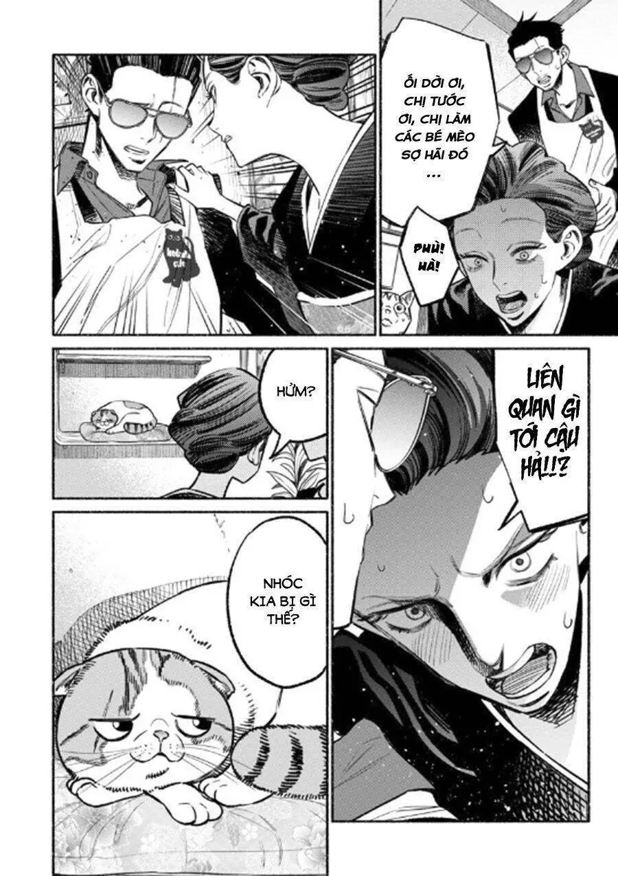 Ông Chồng Yakuza Nội Trợ Nettruyen ZZZ Chương 55 Page 10