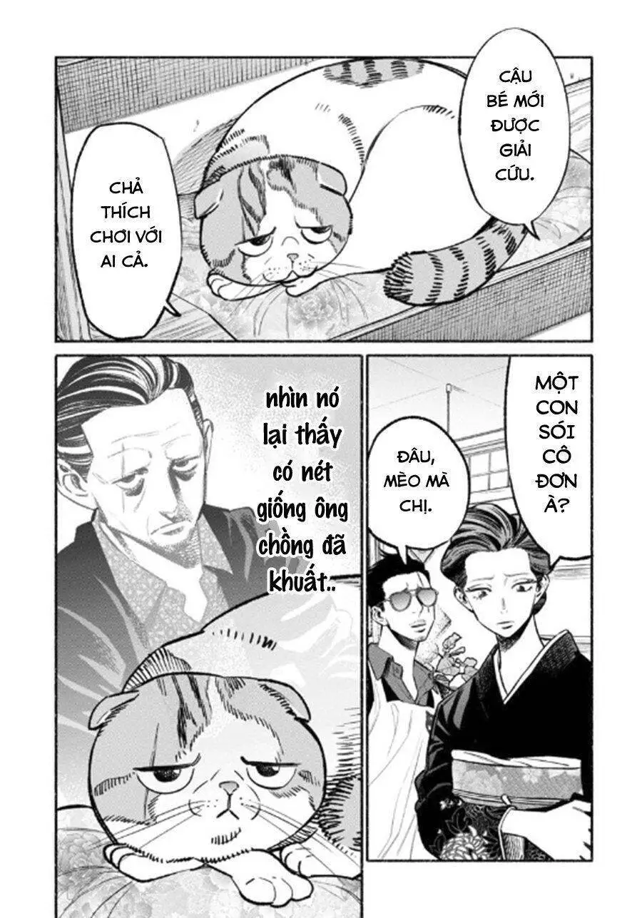 Ông Chồng Yakuza Nội Trợ Nettruyen ZZZ Chương 55 Page 11