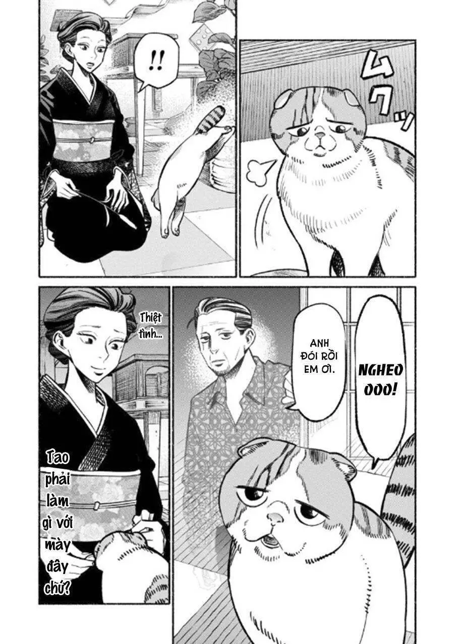 Ông Chồng Yakuza Nội Trợ Nettruyen ZZZ Chương 55 Page 15