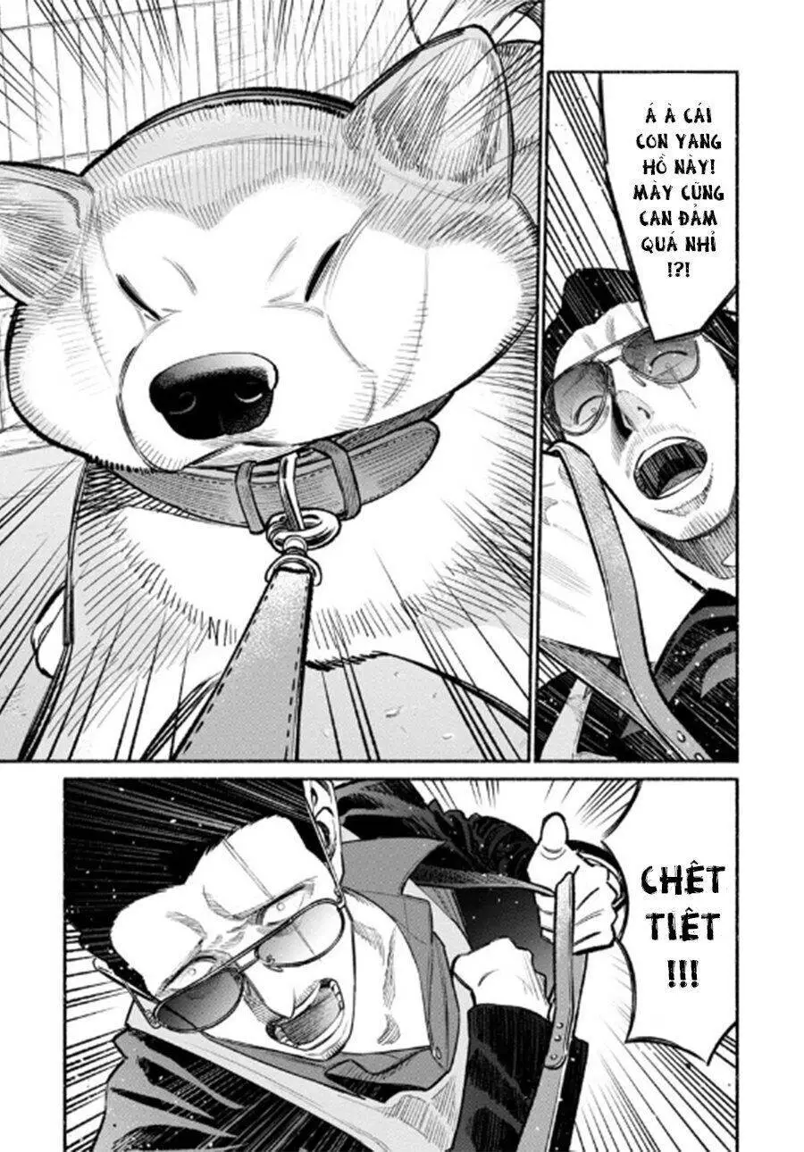 Ông Chồng Yakuza Nội Trợ Nettruyen ZZZ Chương 50 Page 7