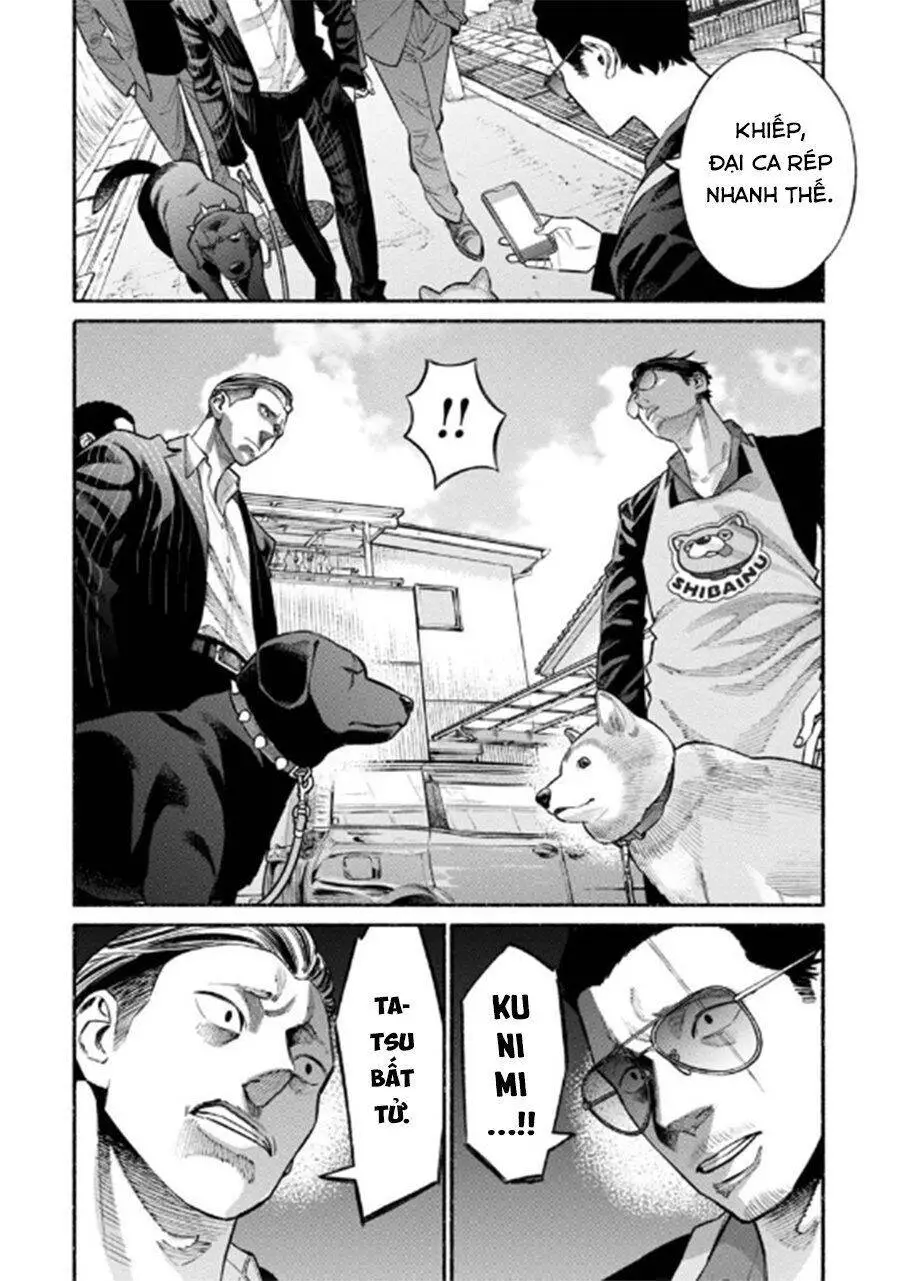 Ông Chồng Yakuza Nội Trợ Nettruyen ZZZ Chương 50 Page 10