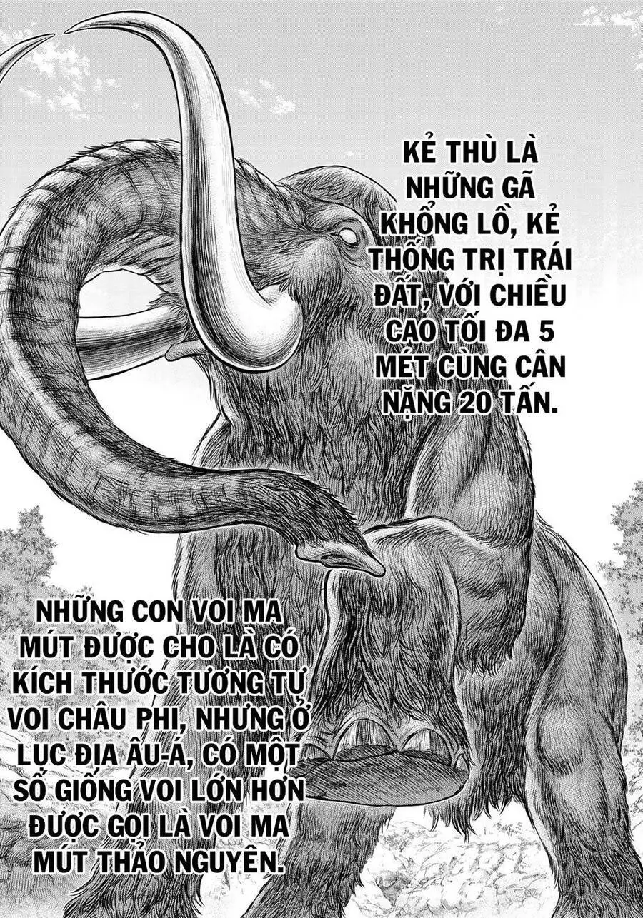Trở Lại Thời Kì Đồ Đá Nettruyen ZZZ Chương 42 Page 18