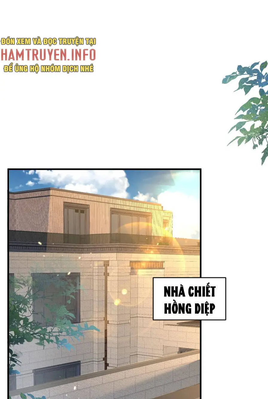Ta Vô Địch Lúc Nào Nettruyen ZZZ Chương 174 Page 14