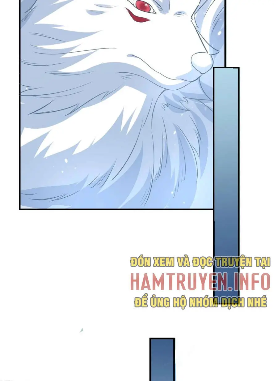 Ta Vô Địch Lúc Nào Nettruyen ZZZ Chương 173 Page 47