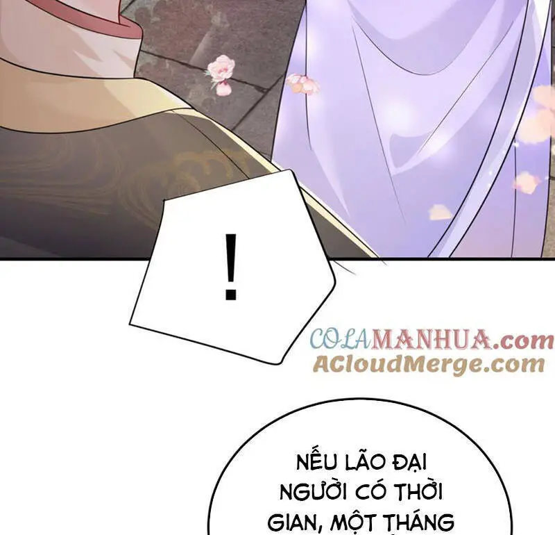 Ta Vô Địch Lúc Nào Nettruyen ZZZ Chương 160 Page 62
