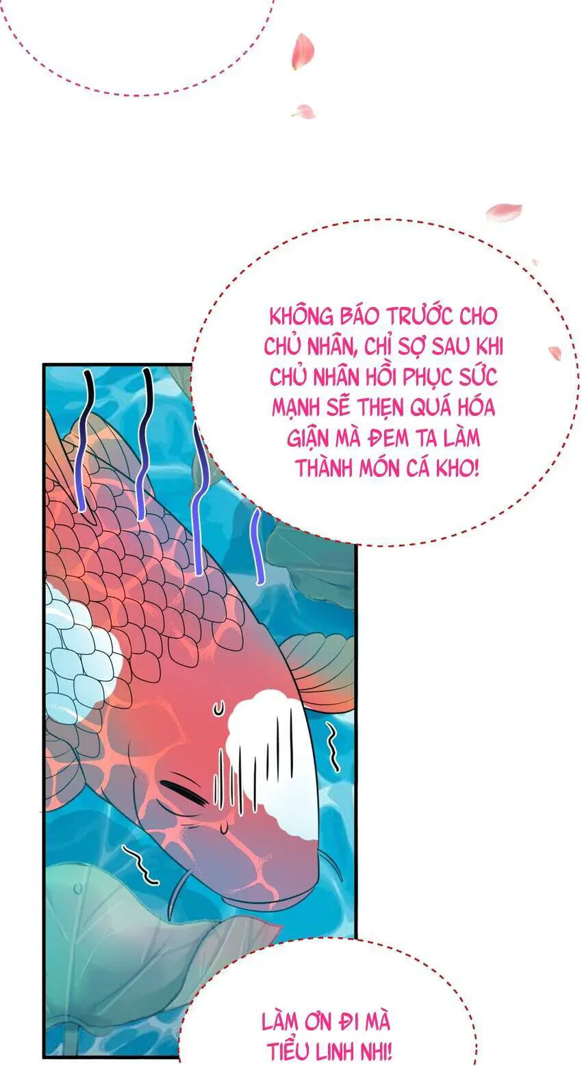 Ta Vô Địch Lúc Nào Nettruyen ZZZ Chương 126 Page 21