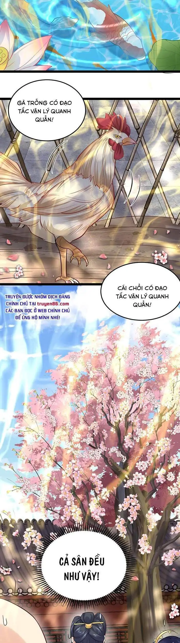 Ta Vô Địch Lúc Nào Nettruyen ZZZ Chương 4 Page 22