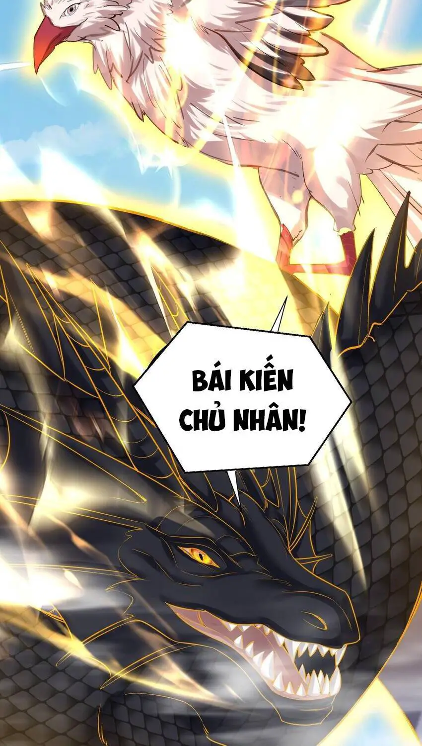 Ta Vô Địch Lúc Nào Nettruyen ZZZ Chương 99 Page 19