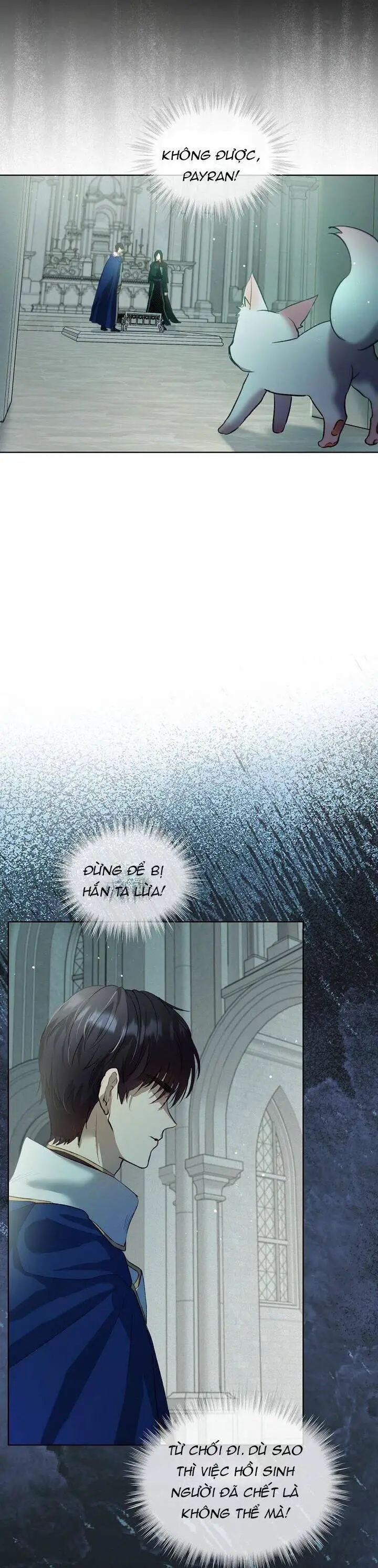 Tôi Đã Tái Sinh Thành Bé Cáo Của Thần Nettruyen ZZZ Chương 42 Page 34
