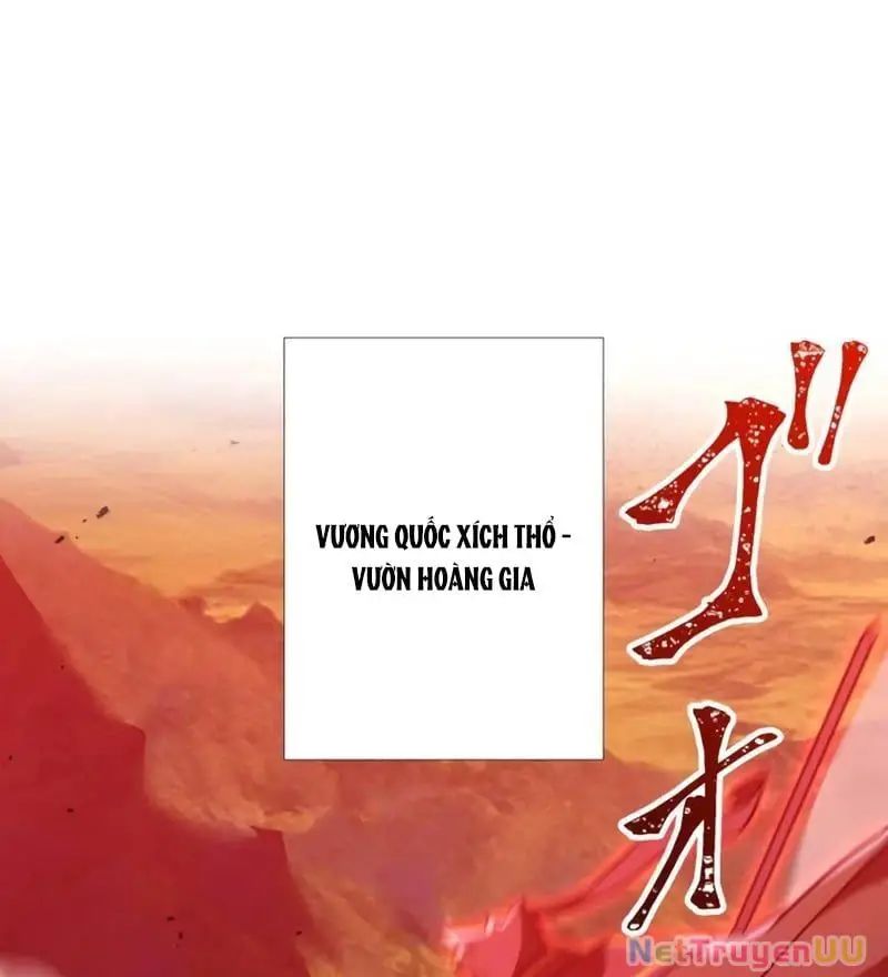 Huyết Thánh Cứu Thế Chủ~ Ta Chỉ Cần 0.0000001% Đã Trở Thành Vô Địch Nettruyen ZZZ Chương 80 Page 509