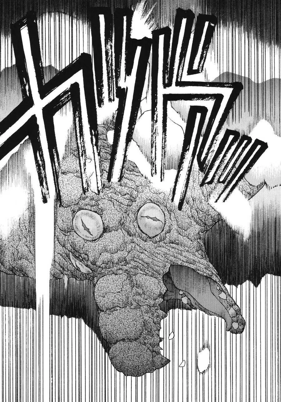 Thánh Chiến Ký Elna Saga Nettruyen ZZZ Chương 13 Page 15